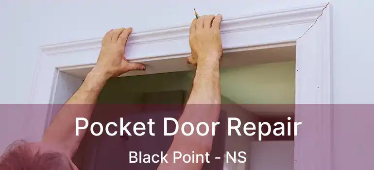  Pocket Door Repair Black Point - NS