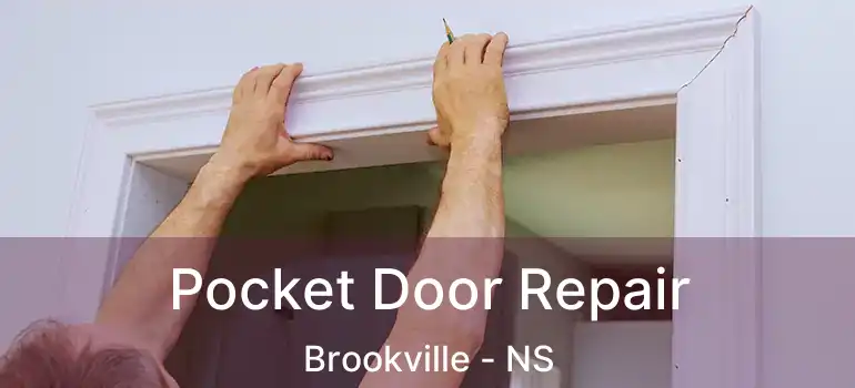  Pocket Door Repair Brookville - NS