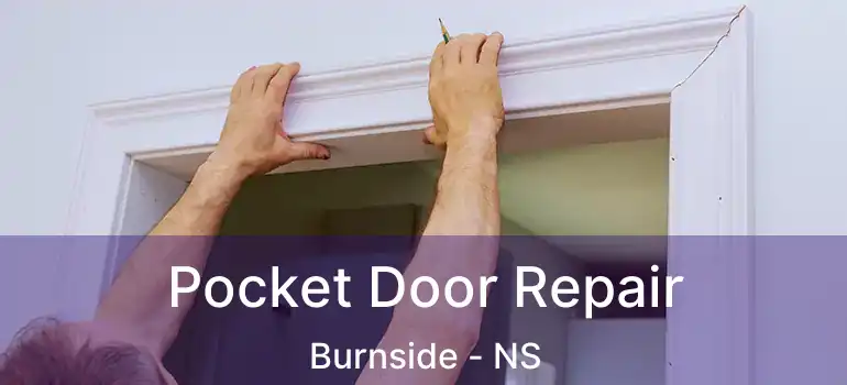  Pocket Door Repair Burnside - NS