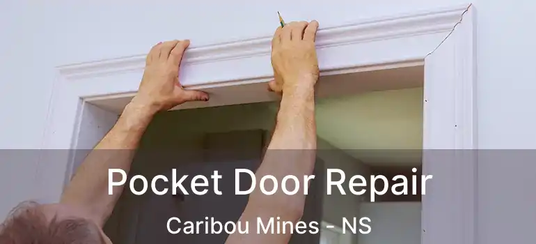  Pocket Door Repair Caribou Mines - NS