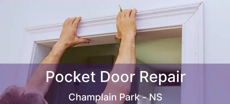  Pocket Door Repair Champlain Park - NS