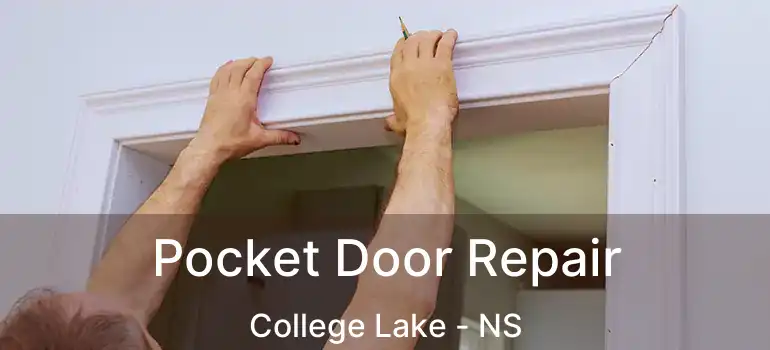  Pocket Door Repair College Lake - NS