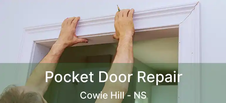  Pocket Door Repair Cowie Hill - NS