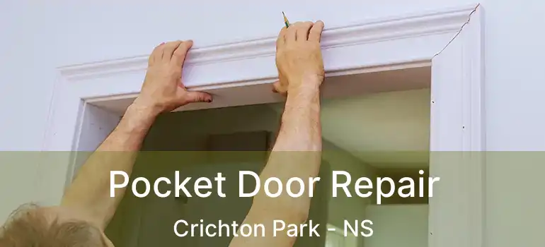  Pocket Door Repair Crichton Park - NS