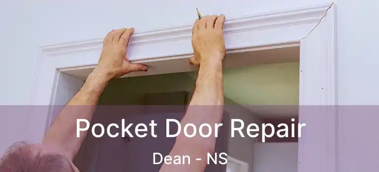  Pocket Door Repair Dean - NS