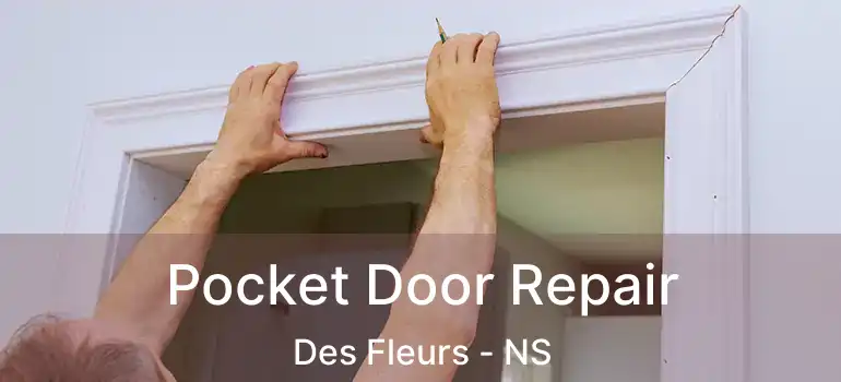  Pocket Door Repair Des Fleurs - NS