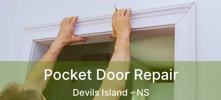  Pocket Door Repair Devils Island - NS