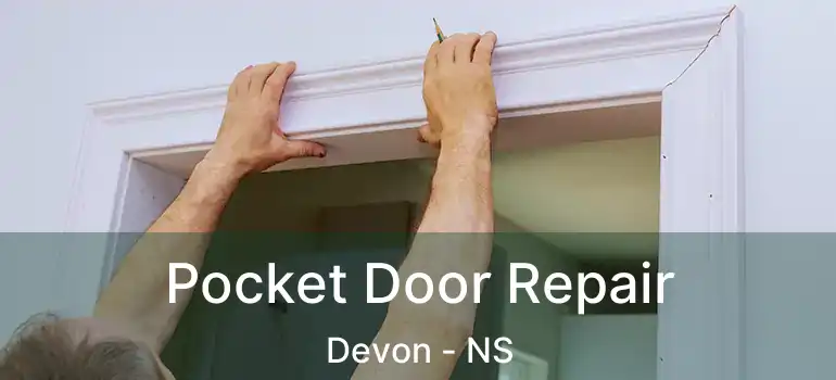  Pocket Door Repair Devon - NS