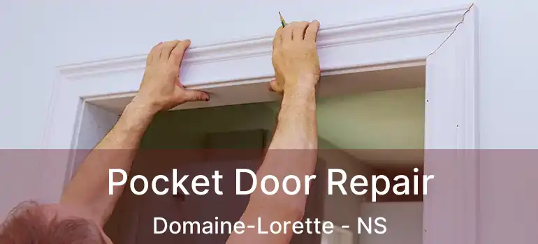  Pocket Door Repair Domaine-Lorette - NS