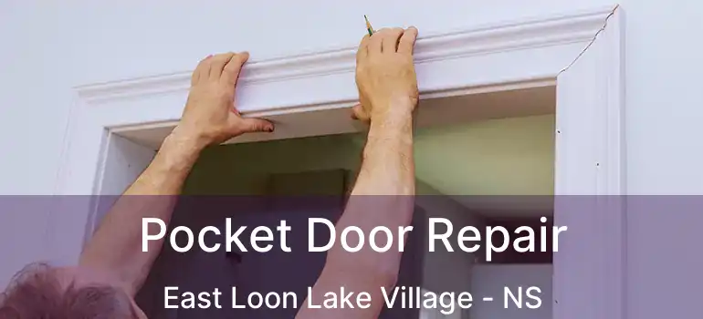  Pocket Door Repair East Loon Lake Village - NS