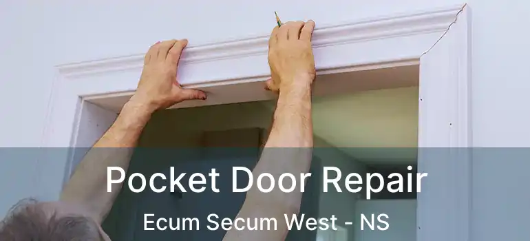  Pocket Door Repair Ecum Secum West - NS