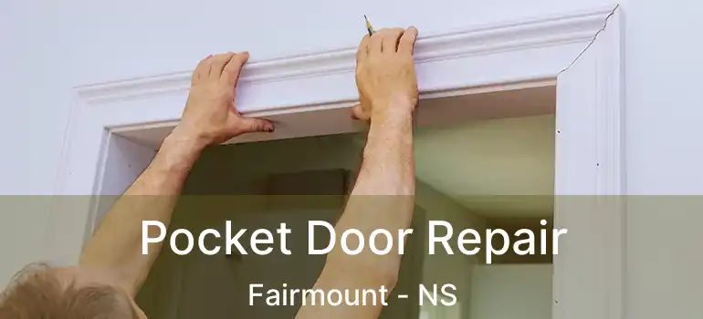  Pocket Door Repair Fairmount - NS