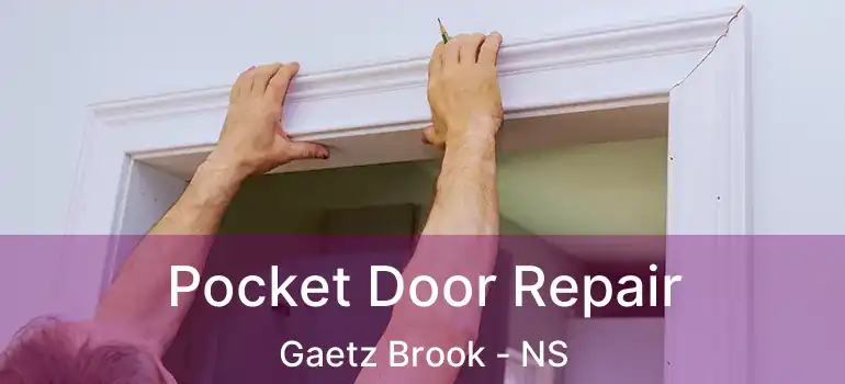  Pocket Door Repair Gaetz Brook - NS