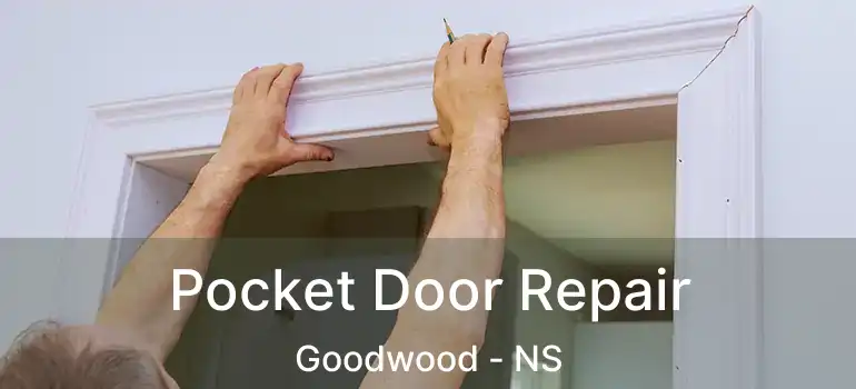  Pocket Door Repair Goodwood - NS