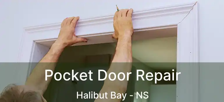  Pocket Door Repair Halibut Bay - NS