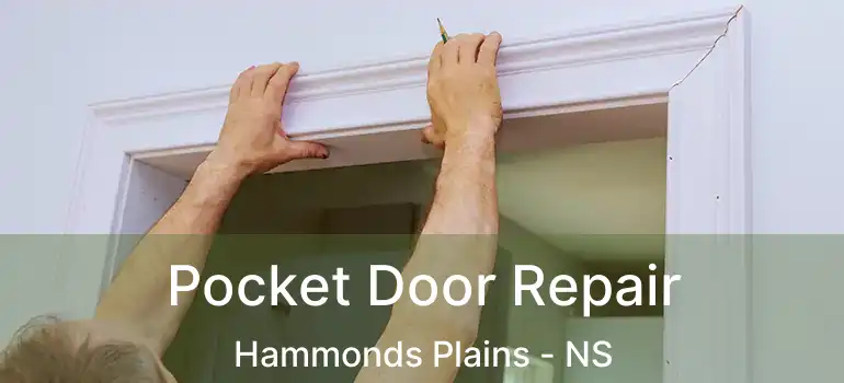  Pocket Door Repair Hammonds Plains - NS