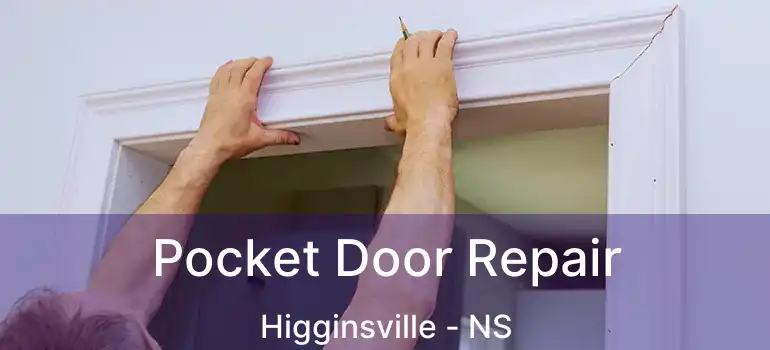  Pocket Door Repair Higginsville - NS