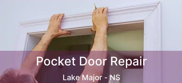  Pocket Door Repair Lake Major - NS