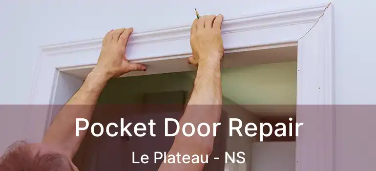  Pocket Door Repair Le Plateau - NS