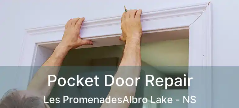  Pocket Door Repair Les PromenadesAlbro Lake - NS