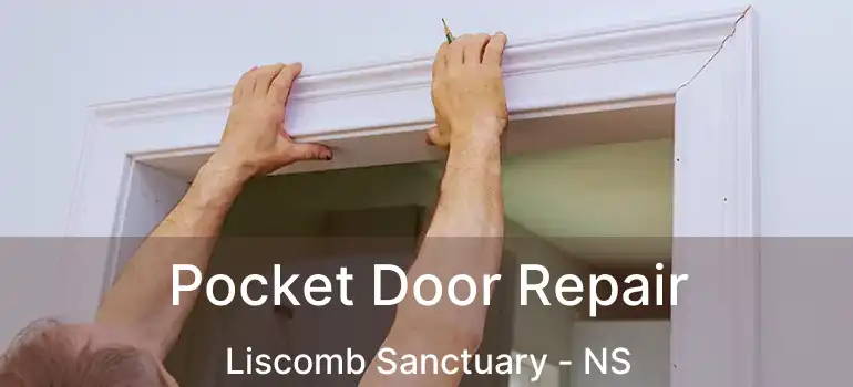  Pocket Door Repair Liscomb Sanctuary - NS