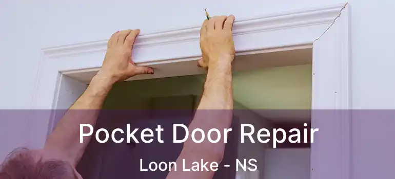  Pocket Door Repair Loon Lake - NS