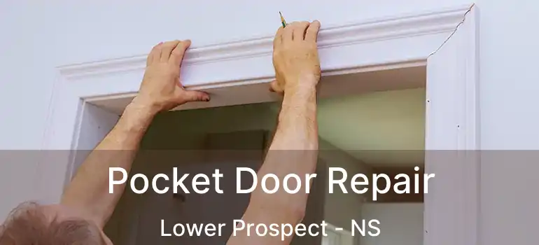  Pocket Door Repair Lower Prospect - NS