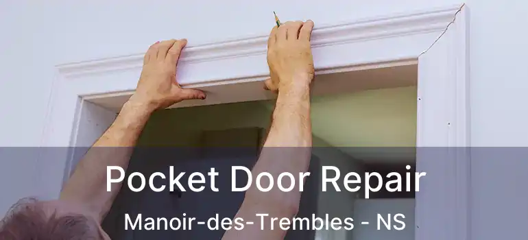  Pocket Door Repair Manoir-des-Trembles - NS