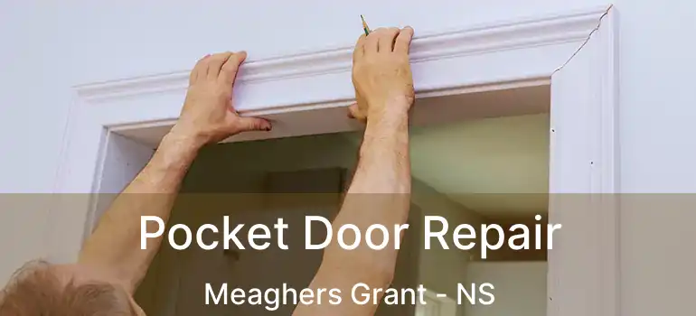  Pocket Door Repair Meaghers Grant - NS