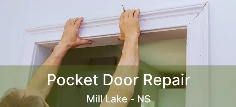  Pocket Door Repair Mill Lake - NS