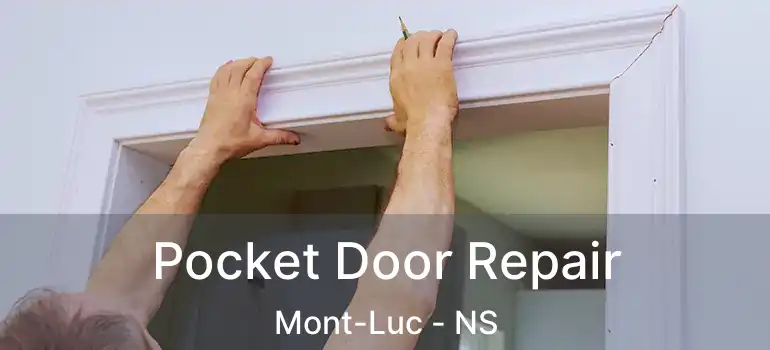  Pocket Door Repair Mont-Luc - NS