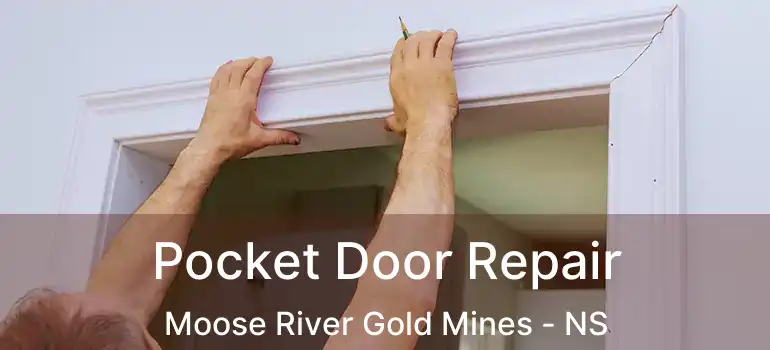  Pocket Door Repair Moose River Gold Mines - NS