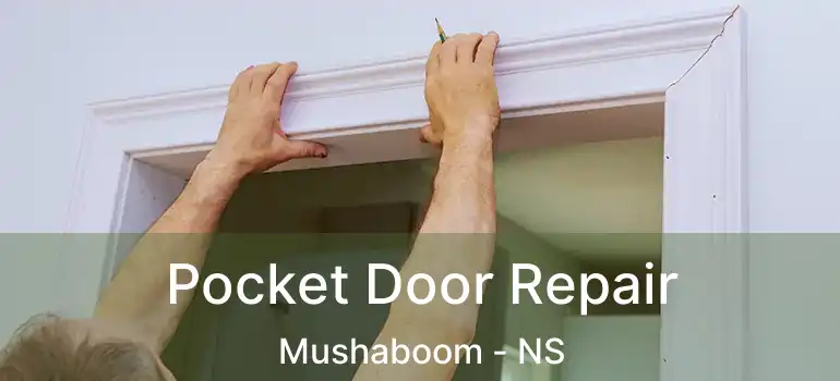  Pocket Door Repair Mushaboom - NS