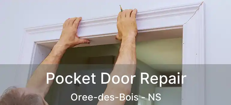  Pocket Door Repair Oree-des-Bois - NS