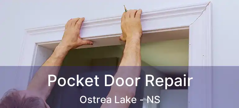  Pocket Door Repair Ostrea Lake - NS