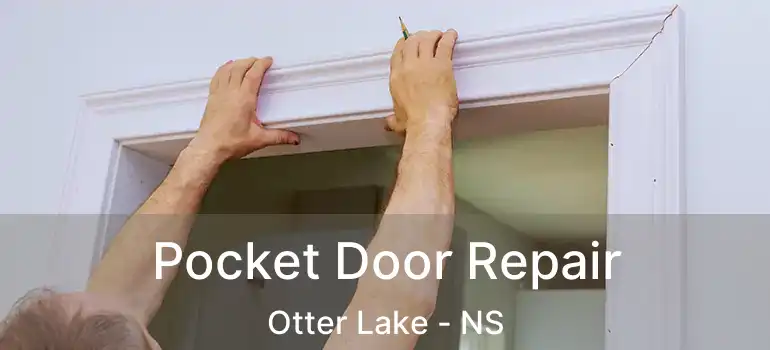  Pocket Door Repair Otter Lake - NS