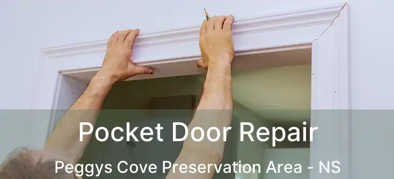  Pocket Door Repair Peggys Cove Preservation Area - NS