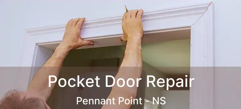  Pocket Door Repair Pennant Point - NS