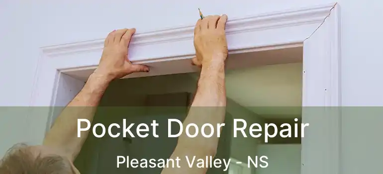  Pocket Door Repair Pleasant Valley - NS