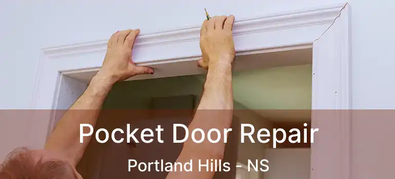  Pocket Door Repair Portland Hills - NS