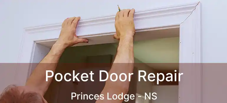  Pocket Door Repair Princes Lodge - NS