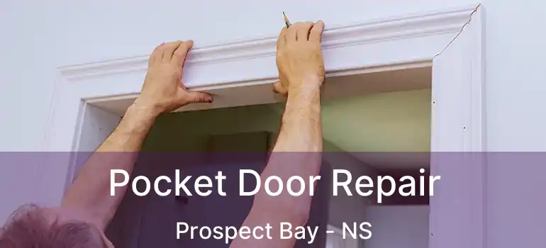  Pocket Door Repair Prospect Bay - NS