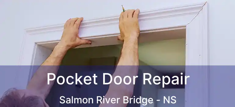  Pocket Door Repair Salmon River Bridge - NS