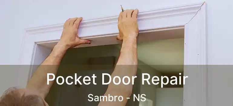  Pocket Door Repair Sambro - NS