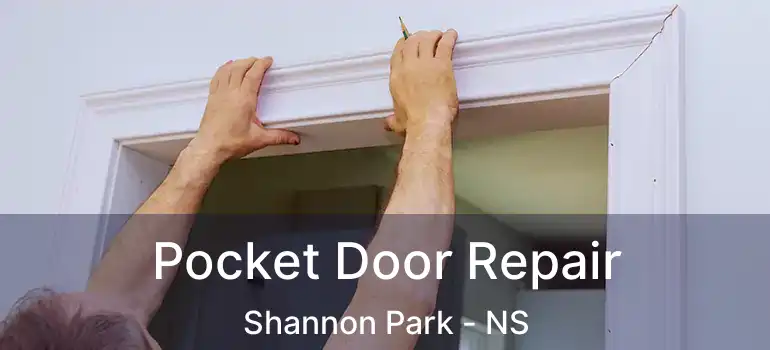  Pocket Door Repair Shannon Park - NS