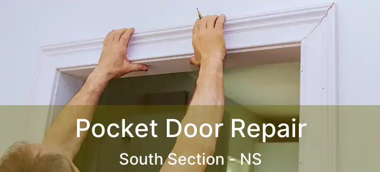  Pocket Door Repair South Section - NS