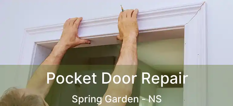  Pocket Door Repair Spring Garden - NS