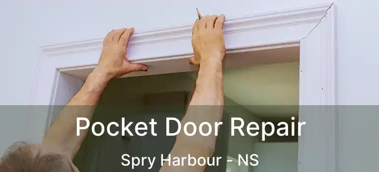  Pocket Door Repair Spry Harbour - NS