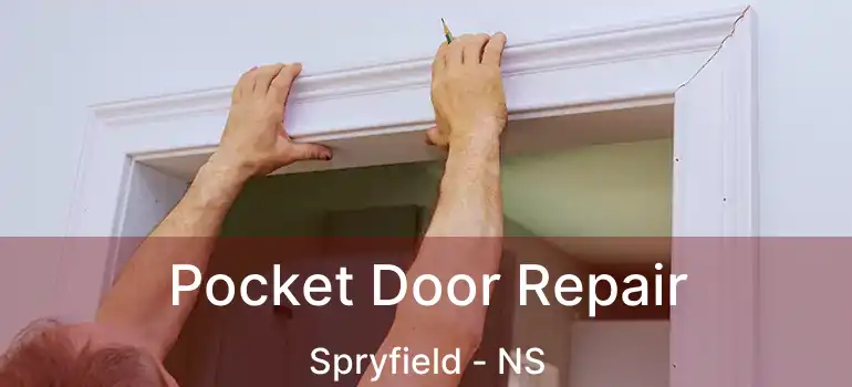  Pocket Door Repair Spryfield - NS