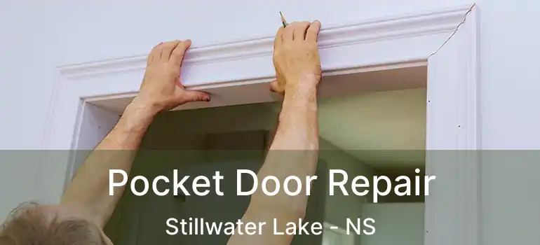  Pocket Door Repair Stillwater Lake - NS